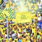 sundowns1819