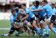Bulls v Pumas, Currie Cup 2022 Betting Preview and Tips