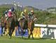 Greyville, Saturday 11th May, Punters Challenge, Winning Form South African Horse Racing Tips