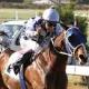 Vaal, Thursday 20th January, Winning Form South African Horse Racing Tips