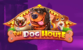 DogHouse